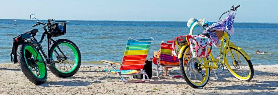 Freedom 4 Electric Bike Company